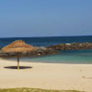 Meet your Posher, Susannah